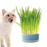 HEGZA Katzengrasbox - Hydroponischer Katzengraszüchter | Abnehmbare, bodenfreie Keimschale, Grasbox für Katzen, Hunde und andere Haustiere, Heimdek