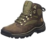 Timberland Damen Chocorua Trail Goretex Chukka Boots, Braun (Dark Brown/Green), 41 EU