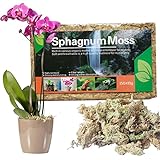 Natürliches Torfmoos,Sphagnum Moos Blumenerde | Pflanzentopfmischung für fleischfressende Pflanzen, Moos, natürlich luftgetrock