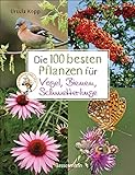Die 100 besten Pflanzen für Vögel, Bienen, Schmetterlinge: Mehr Artenvielfalt im Naturgarten. Ökologisch, nachhaltig, b
