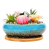 SJBAG 18 cm niedliche, runde Keramik-Dekoration für Sukkulenten, Kakteen, Blumentöpfe, Behälter mit Bambus-Tablett, Pflanze nicht im Lieferumfang enthalten (blau)