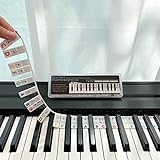 BEATBIT Klavierführer für Anfänger, abnehmbare Klaviertastatur-Notenetiketten zum Lernen, aus Silikon, keine Aufkleber erforderlich, wiederverwendbar und wird mit Box geliefert (Regenbogen）