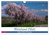Weinland Pfalz - Region Südliche Weinstraße (Wandkalender 2024 DIN A4 quer), CALVENDO Monatsk