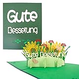 TOG BEG 3D Pop-up Grußkarte mit Motiven Gute Besserung und Blumen, ein liebevolles Geschenk und Gute Besserung für Familien, Freunde, Kollegenkreis inkl. Umschlag (grün)