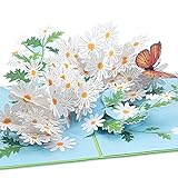 papercrush® Pop-Up Karte Blumen „Gänseblümchen mit Schmetterling“ - 3D Blumenkarte für Frau, Mutter & Freundin (Geburtstagskarte, Gute Besserung), Geldgeschenk zum Geburtstag & Gutschein für G