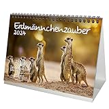 Erdmännchenzauber DIN A5 Tischkalender für 2024 Erdmännchen - Geschenkset Inhalt: 1x Kalender, 1x Weihnachts- und 1x Grußkarte (insgesamt 3 Teile)