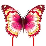 Mint's Colorful Life Schmetterling Drachen flugdrachen für Kinder und Erwachsene (Rosa)