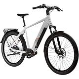 ZÜNDAPP X850 Trekking E Bike 27,5 Zoll Pedelec 165-185 cm Trekking Fahrrad Riemenantrieb Elektrofahrrad 550Wh 7 Gang (weiß, 53 cm)