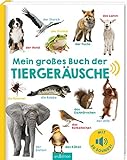 Mein großes Buch der Tiergeräusche: Mit 50 Sounds | Hochwertiges Soundbuch mit realistischen Sounds für Kinder ab 24 M