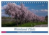 Weinland Pfalz - Region Südliche Weinstraße (Tischkalender 2024 DIN A5 quer), CALVENDO Monatsk