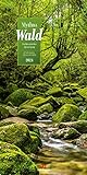 Mythos Wald Kalender 2024, Wandkalender im Hochformat (33x66 cm) - Naturkalender / Literaturkalender mit Z