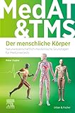 MedAT und TMS - Der menschliche Körp