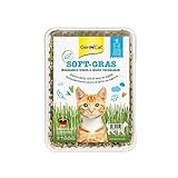 GimCat Soft-Gras - Zartes und vitaminreiches Katzengras mit schneller Aufzucht in nur 5 bis 8 Tagen - 1 Schale (1 x 100 g)