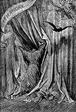 STigLi Gemälde Wandkunst Kunstwerk Dekor Berühmte Gemälde Illustration zum Gedicht „Die Krähe“ von Gustave Dore für Heimtextilien 60x90