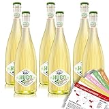 Käfer Hugo Holunder Limette Cocktail, alkoholfrei, sortenreines Weinpaket + VINOX Winecards (6x0,75l)