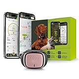 Kippy - EVO Hunde- und Katzen Tracker GPS - Halsband - Gesundheits- und Aktivitäts-Tracker - Peilsender für Hunde mit Sofortalarm - Haustier-GPS mit virtueller Grenzziehung - R