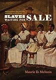 Slaves Waiting for Sale: Abolitionist Art and the American Slave Trade (English Edition)