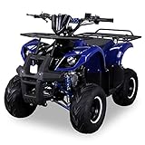 Original Actionbikes Motors Kinder Quad S-8 Farmer | 4-Takt 125 cc 7 kW Benzinmotor - Not-Aus-Leine- Miniquad - Bis zu 50 km/h - Daumengas drosselbar - Automatikgetriebe (Blau)