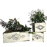 OF 3 Schubladen im Vintage Stil zum Bepflanzen im Set - Blumentopf für Kräuter und Blumen, Blumenkasten P26