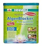 Dennerle AlgenBlocker 3 Liter - Wasserpflege für Gartenteiche - Algenmittel für klare Teiche, Reichweite: 3.000 L