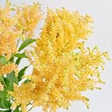 astilben pflanze winterhart samen, bio saatgut winterharte balkonpflanzen prachtspiere stauden mehrjährig pflanzen flowers kübelpflanzen 10p