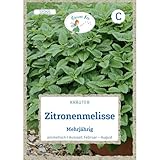 Grüne Fee - Zitronenmelisse Mehrjährig Samen - 12255