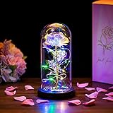 Die Schöne Und Das Biest Rose In Glaskuppel LED-Lichter Kristallrose Blumen Geschenk Zum Geburtstag Jubiläum Valentinstag Hochzeit Freundin Frau F