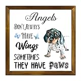 Luckluccy Hunde-Gedenktafel aus Holz, mit englischsprachiger Aufschrift 'Angels Don't Always Have Wings Sometimes They Have Paws', gerahmtes Schild, Deutsche Dogge, christliche Wanddekoration,
