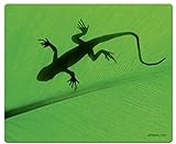 Speedlink Silk Mauspad Gecko (weiche Oberfläche, geringer Gleitwiderstand, gummierte Unterseite, verschiedene Motive)