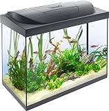 Tetra Starter Line 80 L Aquarium Komplett-Set - inkl. Tag- & Nachtlicht LED-Beleuchtung, Innenfilter, Heizer, Fischfutter und Wasseraufb