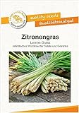 Kräutersamen Zitronengras/Lemon G