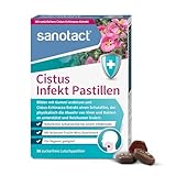 sanotact Cistus Infekt Pastillen (30 Lutschpastillen) • Cistus-Echinacea-Extrakt + Gummi arabicum • Zur Unterstützung der Abwehr von Viren & Bakterien • Lindern R
