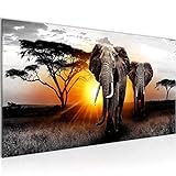Runa Art Wandbild Afrika Elefant 1 Teilig 100 x 40 cm Modern Bild auf Vlies Leinwand Panorama Wohnzimmer Schlafzimmer Grau Orange 007612