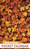 Pocket Calendar 2024 - 2026: Three-Year Monthly Planner for Purse , 36 Months from January 2024 to December 2026 | Autumn leaves | Stock photo | Pogus C