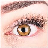 Glamlens Farbige Braune Kontaktlinsen Mirel Brown Stark Deckende Natürliche Silikon Comfort Linsen - 1 Paar (2 Stück) Ohne Stärke 0.00 Diop