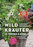Wildkräuter in Töpfen & Kübeln: pflanzen und genießen. So wächst Natur auf dem Balkon. Mit 20 Pflanzideen für w