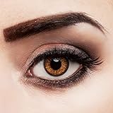 aricona Kontaktlinsen - Orange braune Jahreslinsen ohne Stärke – Natürliche braune Kontaktlinsen farbig ohne Stärk