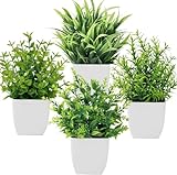 Bafenli 4 Stück Mini Künstliche Pflanzen mit Topf Kunststoff Gefälschte Pflanzen für Home Badezimmer Büro Tisch Dek