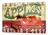 LEotiE SINCE 2004 Blechschild M. A. Allen Retro US Deko Apfel Werbung American Apple Pie 20x30 cm Metallschilder Küche Garage Rek