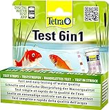 Tetra Pond Test 6in1 - Wassertest für den Teich, schnelle und einfache Überprüfung der Wasserqualität im Gartenteich, 1 Dose (25 Teststreifen)