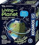 KOSMOS 637255 Living Planet, Erschaffe Deine eigene Mini-Erde, Gewächshaus, Experimentierkasten für Kinder, Biosphäre, Botanik und Biologie für Kinder ab 8 Jahren,