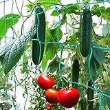 GardenGloss® Ranknetz mit großer Maschenweite für besonders ertragreiche Ernte von Gurken, Tomaten und Anderen Gemüsepflanzen - Rankhilfen für Kletterpflanzen (2m x 2.5m)